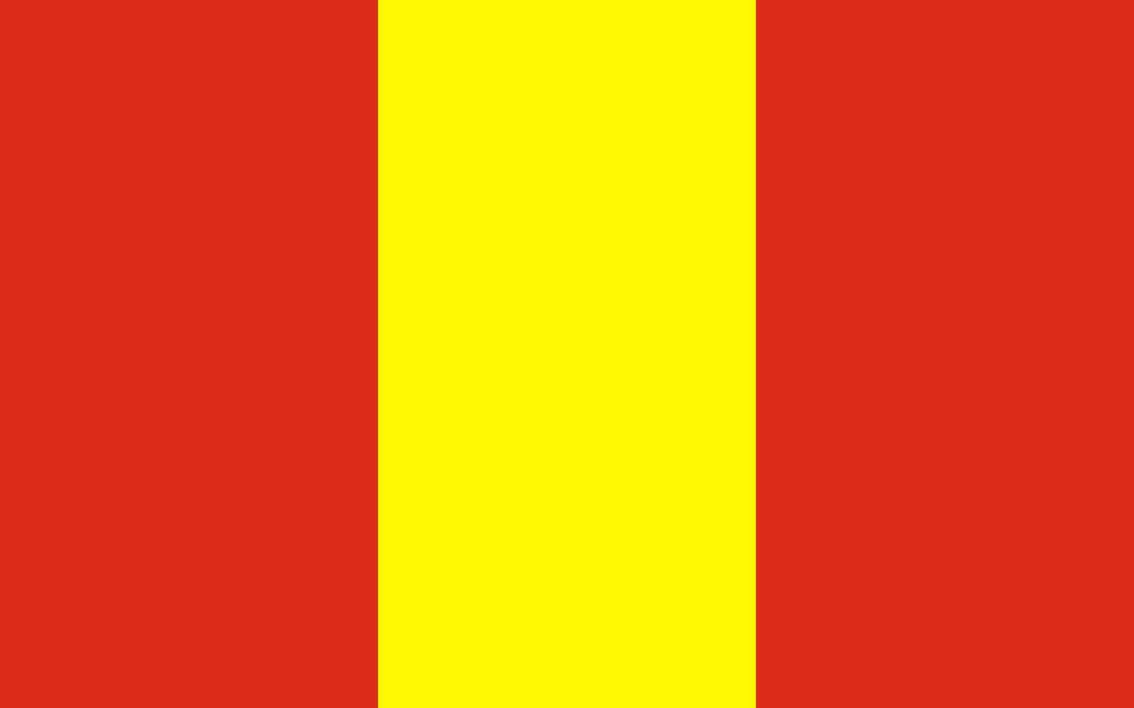 Drapeau paysage Vidzy grand format pour mât de région Biélorussie
