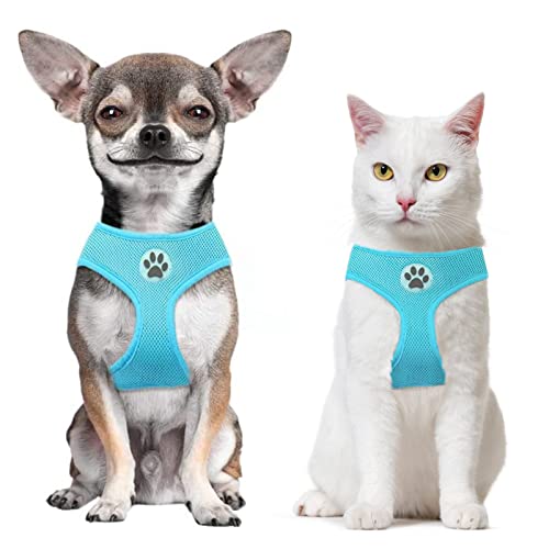 Bingpet Small Dog Harness - Breathable Mesh Puppy Cat Harnesses - No Pull Adjustable Dog Harness Dog Vest Harness For Small And Medium Dogs #TOP5