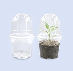 Clear Pots With Domes-30p