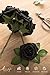 Ling's moment Artificial Flowers 25Pcs Black Roses Decor w/Stems,3