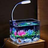 Volkmi 1.5 Gallon Small Fish Tank, PS Small Aquarium with LED Light, DIY One-Piece Molding Betta Fish Tank for Betta, Shrimp, Guppy