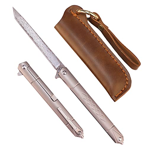 Samior GD035 VG10 Damascus Knife