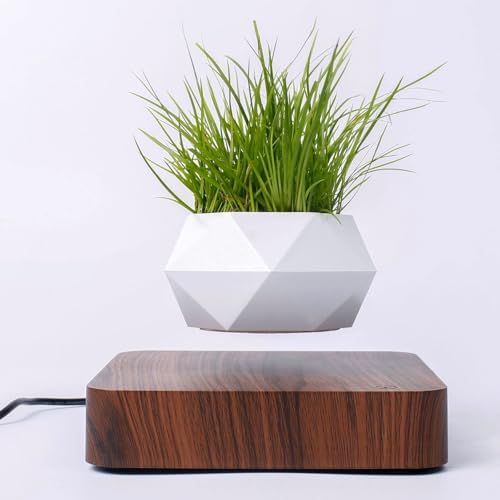 Levitating Plant Pot, Magnetic Floating Planter Levitating Plant ...