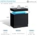 AMERLIFE High Gloss LED Nightstand Set of 2 with Charging Station, Modern Bedside Table Night Stand with LED Lights, Sofa End Side Tables with Drawers for Bedroom Living Room, Black