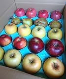 色々ミックス箱込５㌔ 秋映.シナノプッチ.ゴールド.サンふじ.ラ フランス