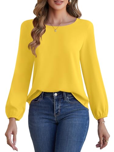 Image of Women's Sleeveless Chiffon Tank Top Business Casual Blouse Tunic Top