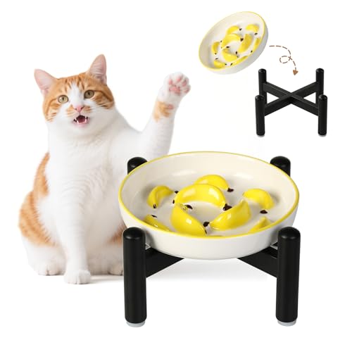 Ceramic Slow Feeder Cat Bowl, 6.3'' Wide Whisker Friendly Cat Puzzle Feeder