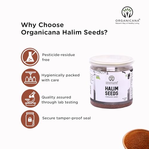 Image of Organicana Halim Seeds 500gm (Pack of 2) 250gm each Garden Cress | Asaliya Seeds | Halim Seeds For Eating | Asalia | Non GMO High in Fibre & Omega 3 | Immunity Booster Superfood Aliv Seeds - Jar Pack