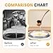 36 Hour Yogurt Maker, Adjustable Time & Temp Control - Make Trillions of Live Probiotics, Lcd Display with Constant Temperature Control Stainless Steel Design for Home Use (Basic)
