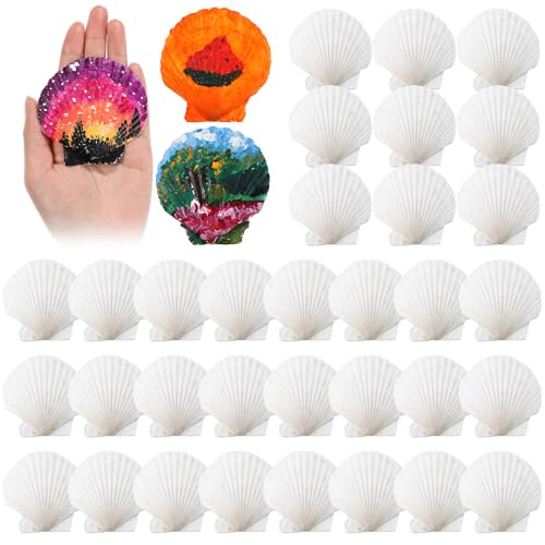 GlikCeil 50 Pcs Sea Shell for Crafting Natural Large Scallop White Oyster Shells Bulk for Decorating DIY Home Decor Beach Wedding Ocean Themed Party(2.8''-3.1'')