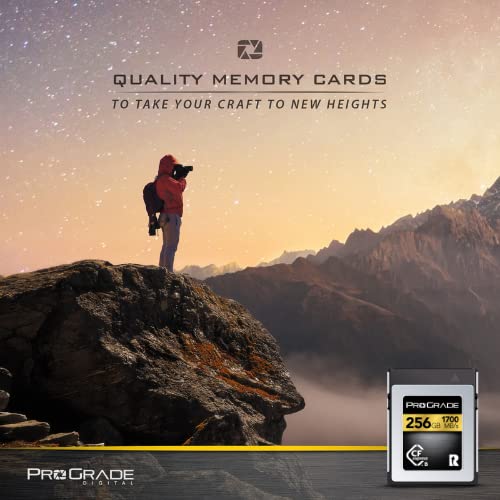 Amazon | ProGrade Digital 256GB CFexpress Type B メモリーカード 