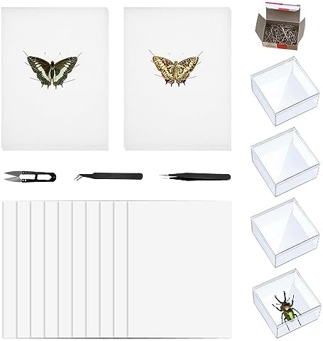 20 PCS Insect Specimen Tools Kit 4 Clear Display Case Box 10 Sheets ...