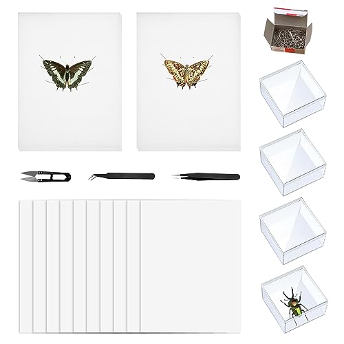 20 PCS Insect Specimen Tools Kit 4 Clear Display Case Box 10 Sheets Thin Tracing Paper 2 Butterfly Mounting EVA Foam Pinning Board 200 Pins 2 Tweezers 1 Scissors Kits for Bugs Collection