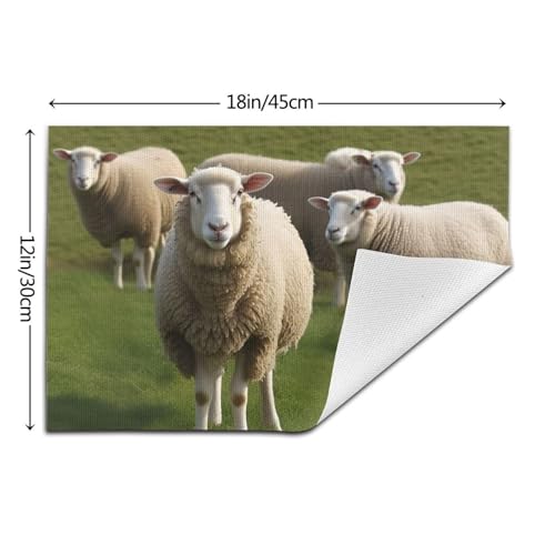 Sets de table en PVC lavables lot de 4 design mouton 45x30 cm - 3