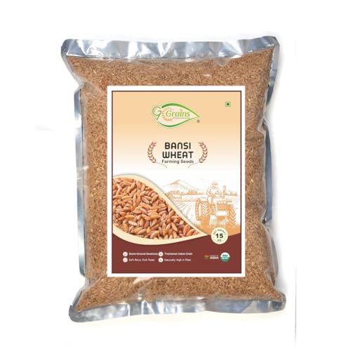 Image of Organic Bansi Wheat Grains Seeds (15Kgs) | Bansi Bhaliya Gehu Ka Seeds | For Farming, Sowing & Agriculture Use | Produce of India | 100% Natural & Non-GMO | By G7 Grains