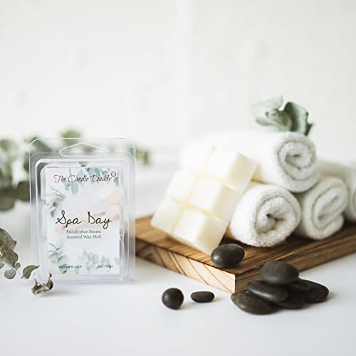 Spa Day - Relaxing Aroma Therapy Eucalyptus Scented Wax Melt - 1 Pack - 2 Ounces - 6 Cubes