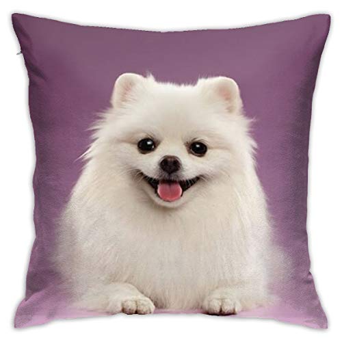 クッションカバー ソファ背当て ポメラニアン犬柄 装飾枕カバー 座布団カバー 抱き枕カバー 柔らか おしゃれ ピロケース 可愛い シンプル ホーム 部屋 車 椅子 インテリア