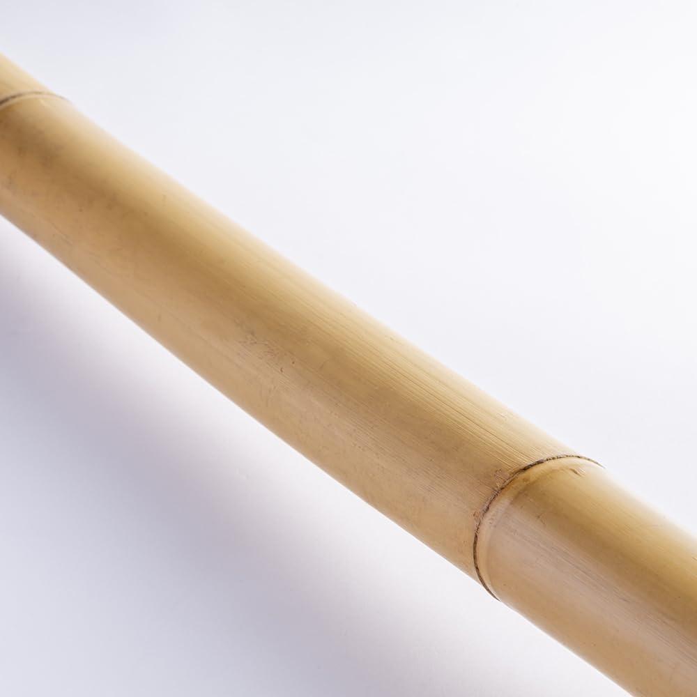 Amazon | トンキンケーン5本束 トンキン竹 トンキンバンブー バンブー