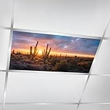 6 Pcs Fluorescent Light Covers for Ceiling Lights Two saguaro cacti lean toward fantastic sunrise from Granite Mountain Decorative Magnetic Classroom Light Filters 4x2 ft for Office Hospitals Home
