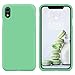 SURPHY Coque iPhone XR, Silicone Liquide Case avec Doux Microfibre Coussin Doublure Cover Protection Bumper Anti-Choc Housse Étui pour iPhone XR 6,1 Pouces - Menthe Verte