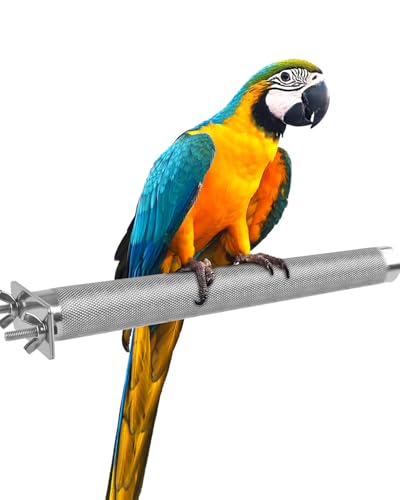 KATUMO Parrot Perch - Stainless Steel African Grey Perch Bird Cage Accessories for Small to Large Parrots (11.8 x 1.2 inch)