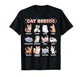Semplice tabella di apprendimento delle razze di gatti per bambini con Maine Coon, Siamese, Persiano, Bengala, British Shorthair, Scottish Fold, Sphynx, Ragdoll, Abissino, Norvegese Forest Cat, Russian Blue e Munchkin per un facile riconoscimento.