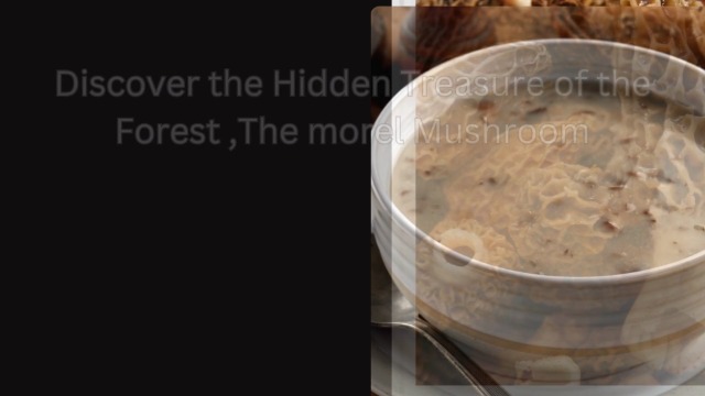 Mushroom Essence Morel Mushroom (20g) Dried Wild Harvested Nature | Gucchi Mushroom | (Pack of 1)