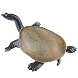 AENIMELY Softshell Turtle Figurine – Realistic Solid Reptile Model for Kids – Educational Freshwater Turtle Toy, Wildlife Learning Gift, Pond Diorama Decor
