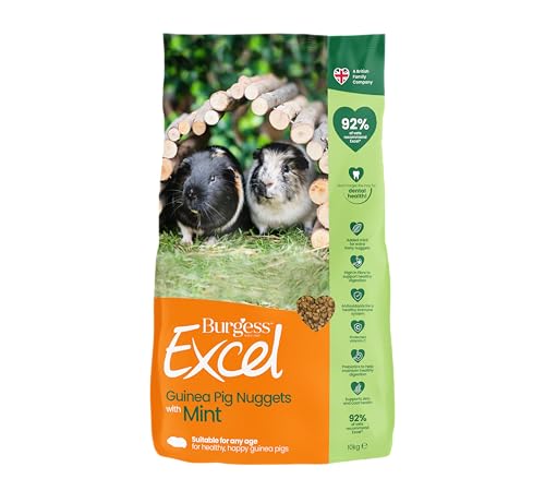Excel Guinea Pig Tasty Nuggets 10 kg