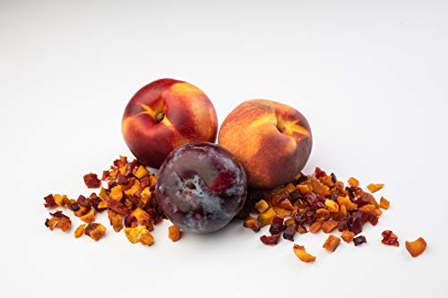 Traina Home Grown Fruitons California Sun Dried Summer Blend Fruit Mix - Peaches, Nectarines and Plums, No Sugar Added, Non GMO, Gluten Free, Kosher Certified, 6 oz pouch (pack of 2)