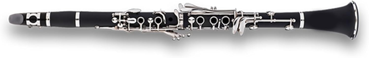 B flat ebony clarinet instrument for adult beginners to take the exam Clarinet