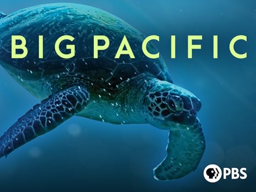 Big Pacific Season 1