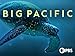 Big Pacific Season 1