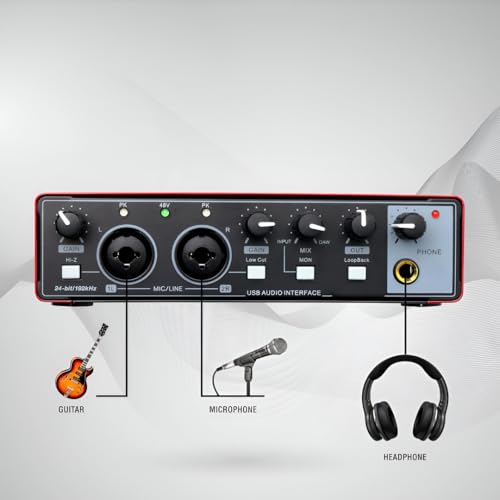 Image of Powerpak AI-06 2 Channel Audio Interface | 24-bit /192kHz High Fidelity Recording, 48V Phantom Power Support | XLR /MIC /LINE inputs | Plug and Play-No Drivers for Recording, Podcaster
