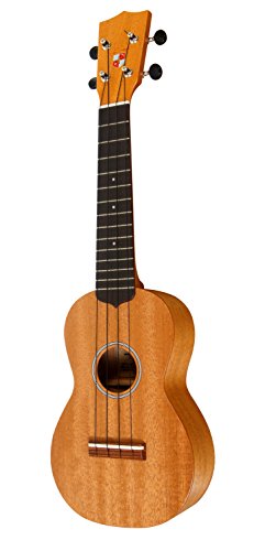 ウクレレ女子必見 かわいいウクレレの選び方と おすすめのウクレレ５選の紹介