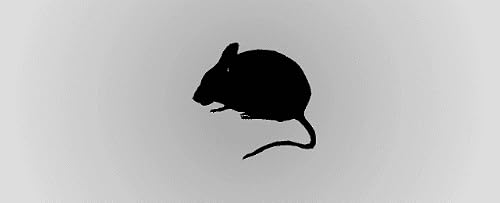 Miniatura 13 de Mouse Sounds