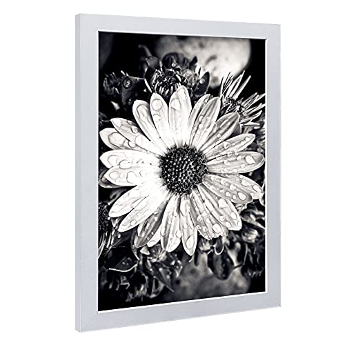 Image of VCK 11x17 Picture Frame Set of 3, White Wood Frames, Gallery Wall Decor Photo Frames for Wall Mounting Horizontally or Vertically