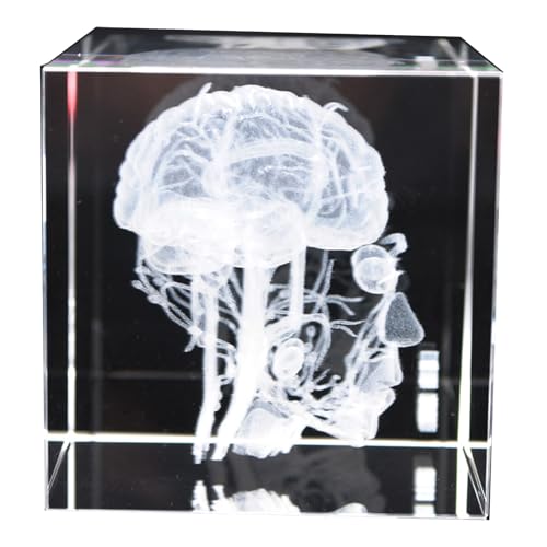 Imagen de FHUILIJH Clear,60mm