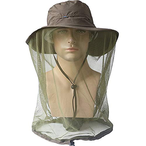 Insect Mosquito 