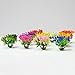 Woohome 10 Color DIY Miniature Colorful Flower Cluster 3 cm Miniature Shrubs Bushes Static Grass Tufts Flower Vegetation Groups Static Grass Tufts for Train Landscape Scenery