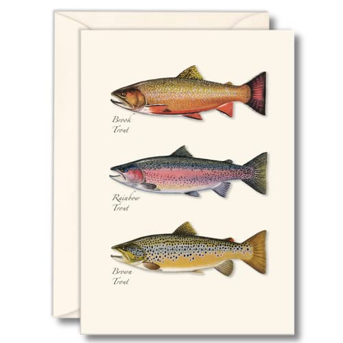 Cartes motif truite le cadeau idéal pour accompagner les présents des pêcheurs