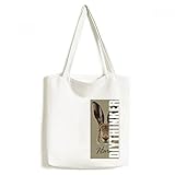 Material: Leinwand DIYthinker Grau großnasige Wild Hare Tier-Tasche Einkaufstasche Kunst Waschbar 33cm x 40 cm (13 Zoll x 16 Zoll) Mehrfarbig