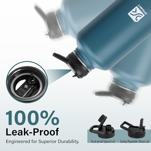 Insulated Water Bottle | Thickened Stainless Steel Vacuum Metal | Portable Sports Half Gallon Large Water Jug for Gym and Hiking with Straw, Carrier Bag, Handle Strap | BPA-Free 64 oz