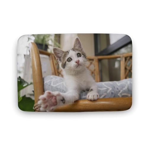 L   oX}bg \tg􂦂 z  փ}bg  O   \ ~ Aj LN^[ @}bg   ʏ