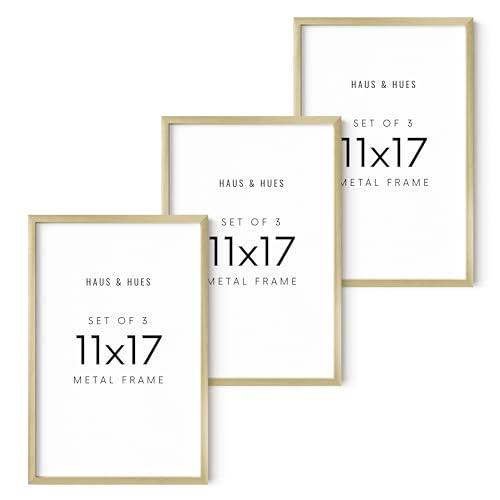 HAUS AND HUES 11x17 Gold Metal Picture Frames - Features