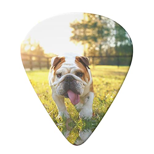 Cute Bulldog Puppy Lot de 6 médiators pour guitare acoustique, guitare électrique, basse, ukulélé – fin, moyen et épais. - Les Beatles, Paul McCartney, John Lennon, RIngo Starr, George Harrison Cute Bulldog Puppy Lot de 6 médiators pour guitare acoustique, guitare électrique, basse, ukulélé – fin, moyen et épais. – Image 4