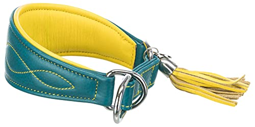 TRIXIE Active Komfort Windhunde Halsband Größe S: Halsumfang 27-35 cm/55 mm in Petrol - extra breites Hundehalsband für kleine Hunde, schützt den Kehlbereich, unterfüttert, 18967