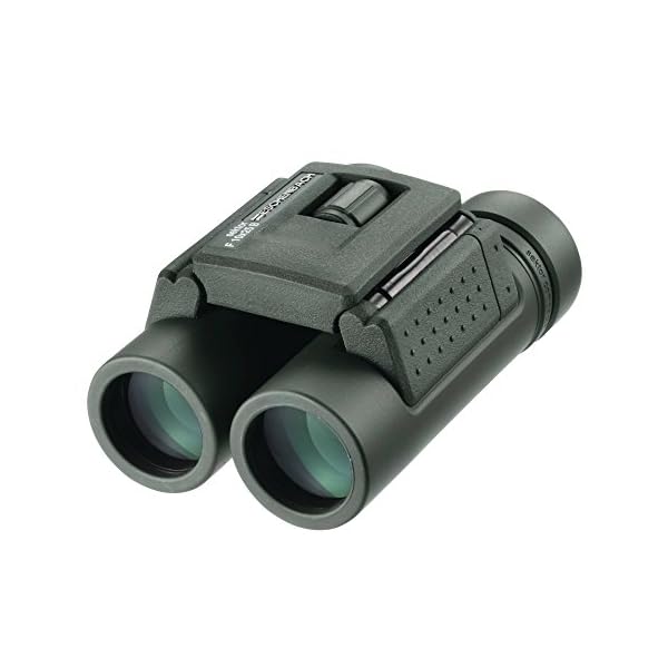 Eschenbach Optik Fernglas sektor F 10x25 compact+, faltbar, wasserdicht, grün – Bild 4