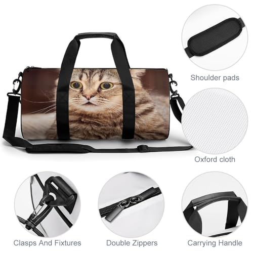 Sac de voyage chat brun mignon compact pour simplifier vos déplacements