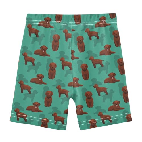 Girls' Shorts Soft Summer Soft Boxers Short Dog Lagotto Romagnolo Leggings Dance Bottoms3